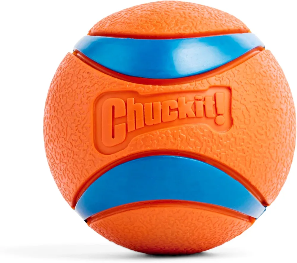 Chuckit! Ultra Ball large 3-inch rubber dog fetch ball that floats