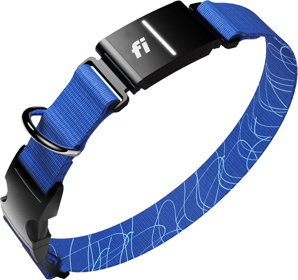 Fi Series 3+ smart dog tracker collar in blue with LED module