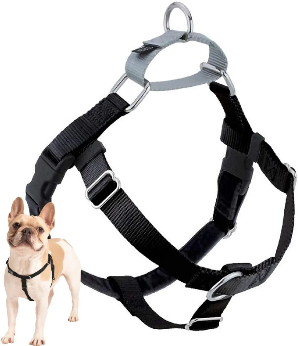 2 Hounds Design Freedom No-Pull dog harness with martingale loop and front ring