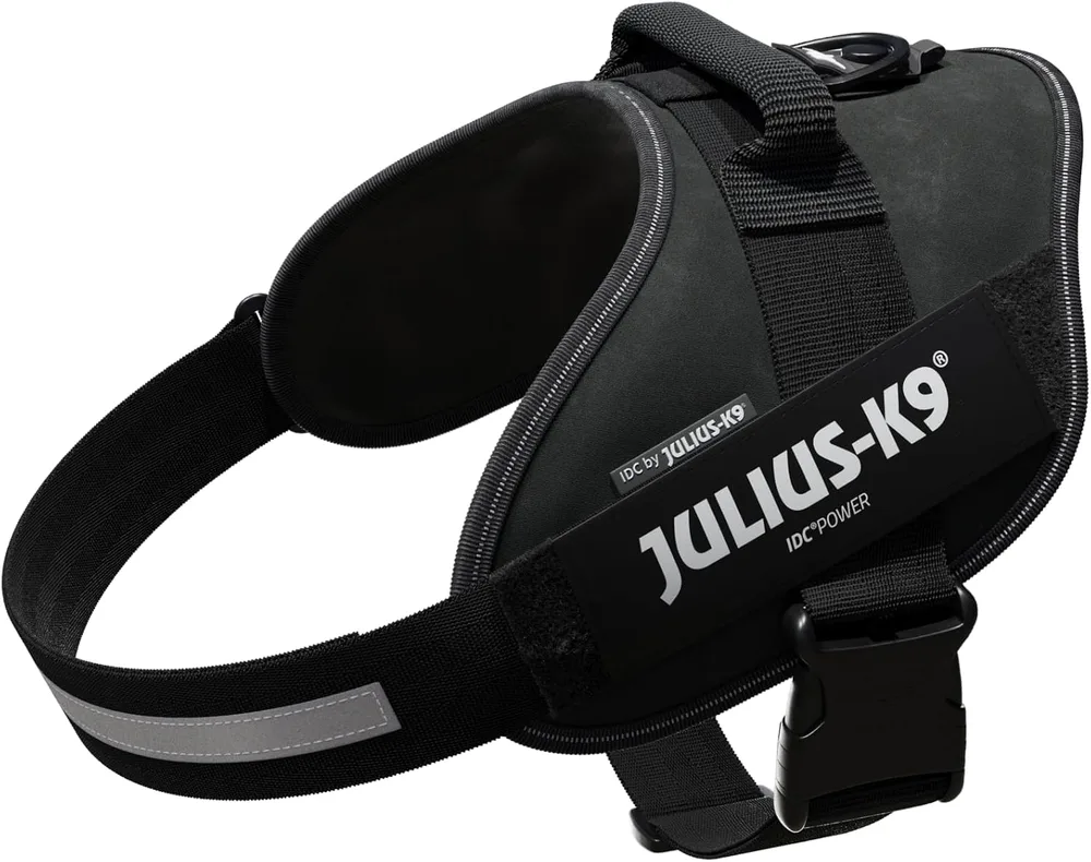 Julius-K9 IDC Powerharness size 2 black working dog harness with reflective chest strap
