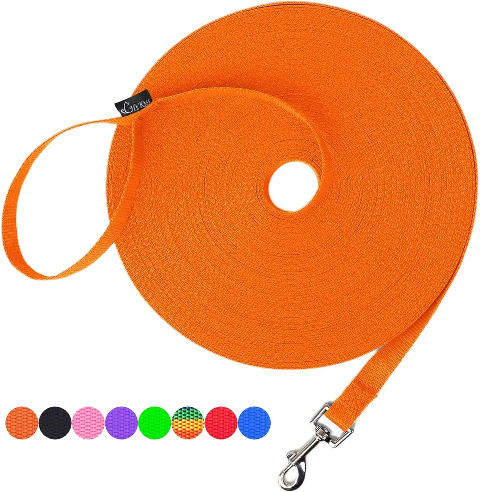 Orange flat nylon webbing long-line training leash coiled, with clip