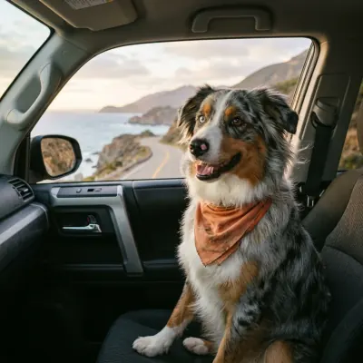 Illustration of Scout on a road trip