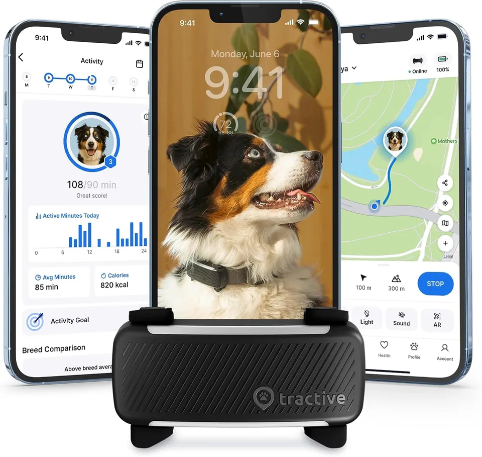 Tractive Dog 6 GPS tracker with the Tractive app showing live location and activity