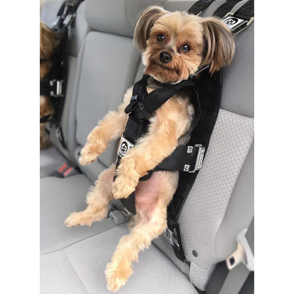 ZuGoPet Rocketeer Pack holding a small dog upright and secured in a car back seat